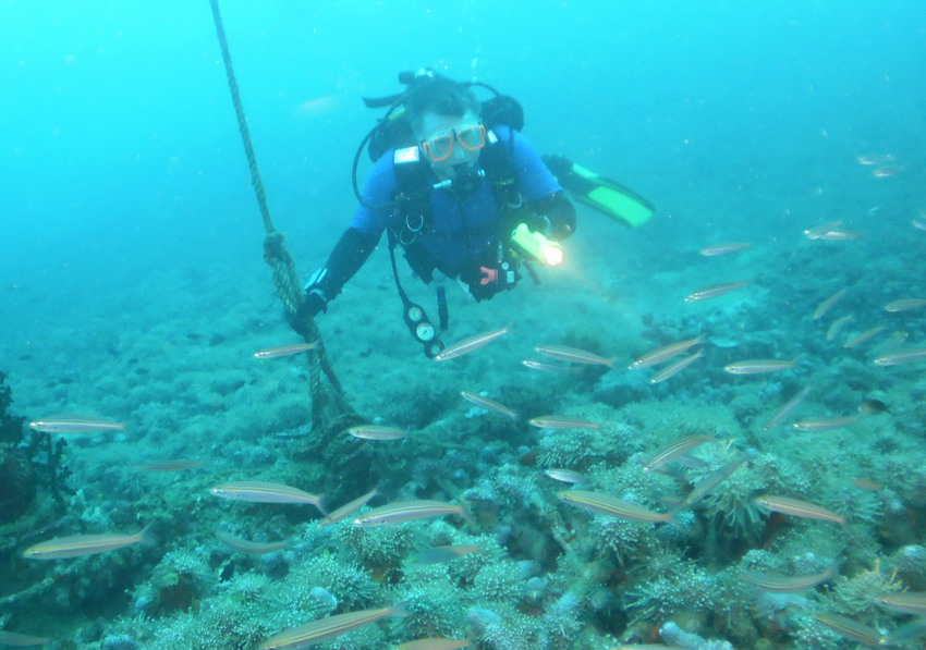 Andrew with schooling fish at ascent