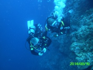 Divers on Wall